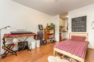 47/95 Annandale Street, Annandale