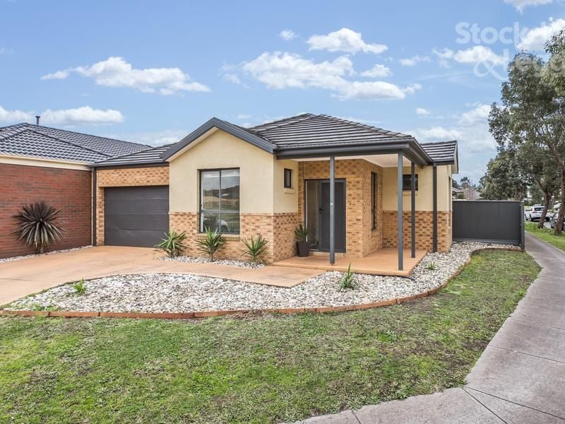 17 Riordan Crescent MERNDA, Mernda - Thumbnail 3