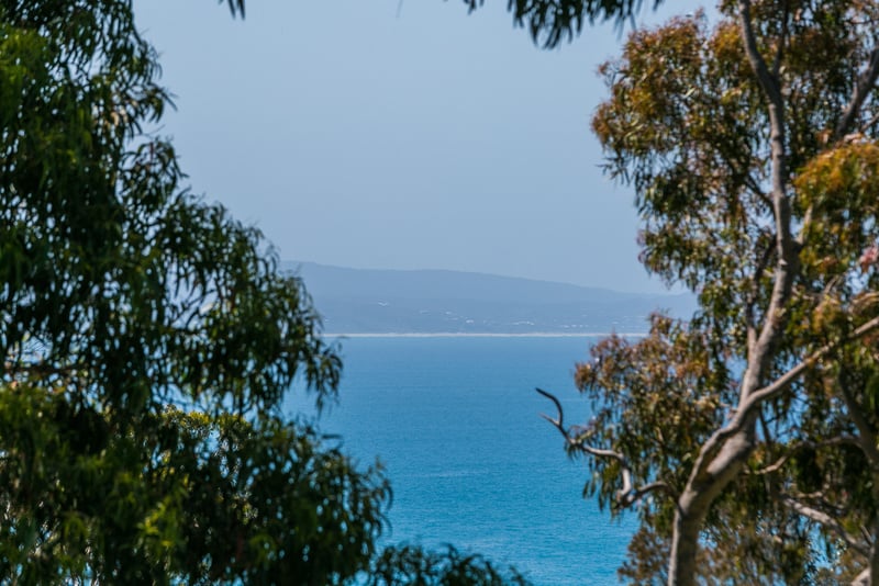 7 Francis Street, Lorne, VIC, Lorne - Thumbnail 2