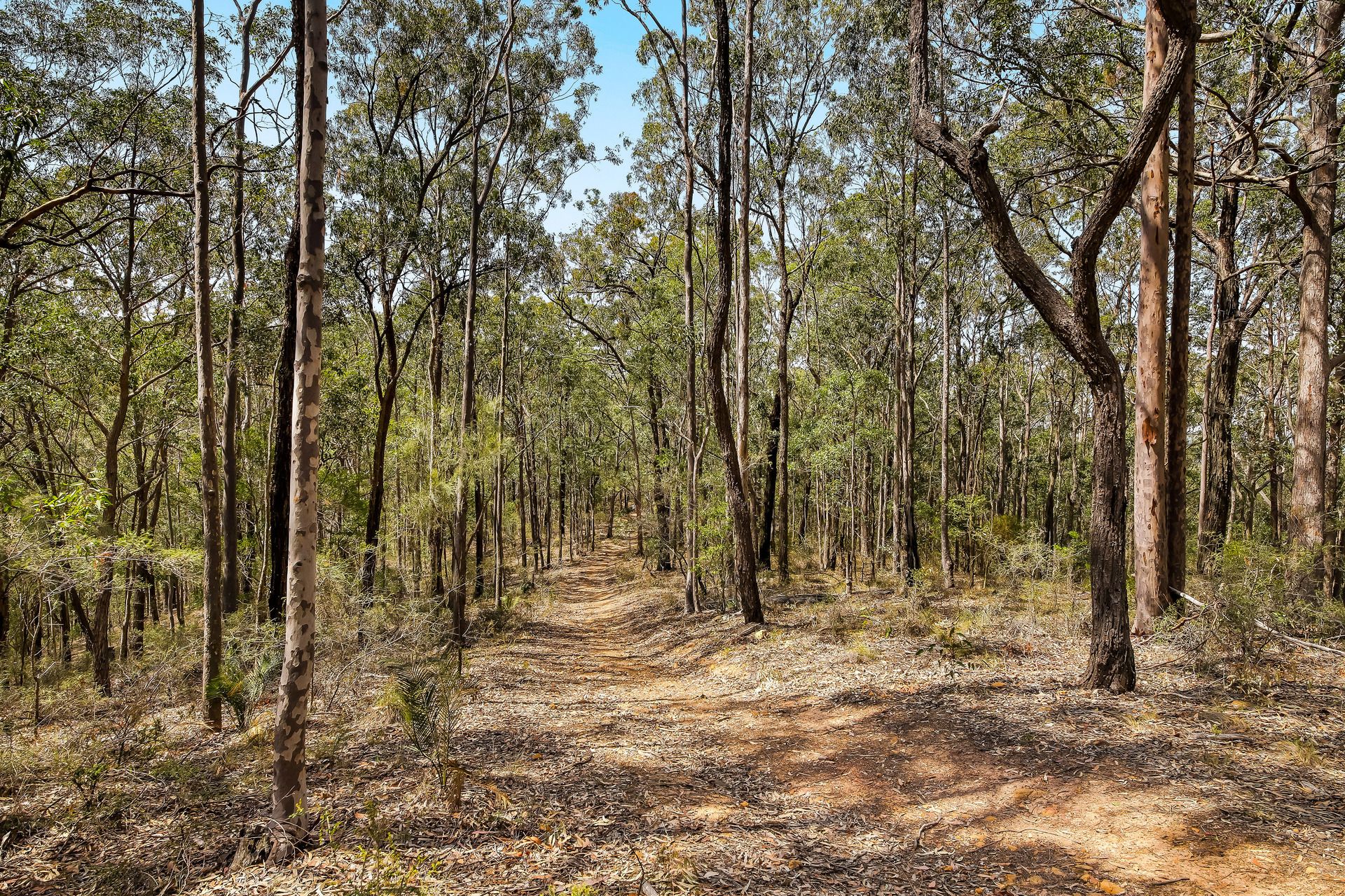 Lot 159 -160 Mountview Road, Millfield, Millfield - Thumbnail 5