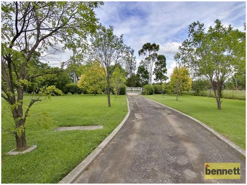 139 Pitt Town Road, McGraths Hill - Thumbnail 5