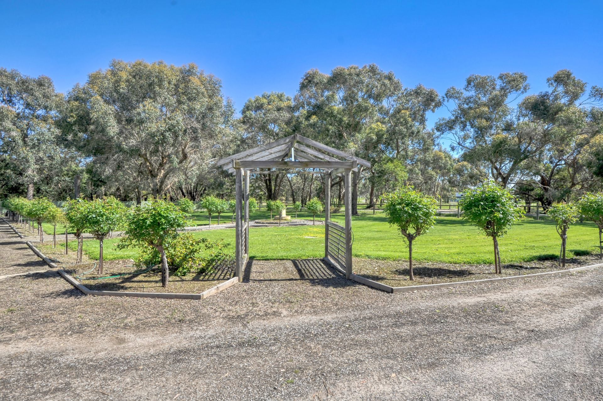 65 Lemajics Road Scarsdale VIC, Scarsdale - Thumbnail 7
