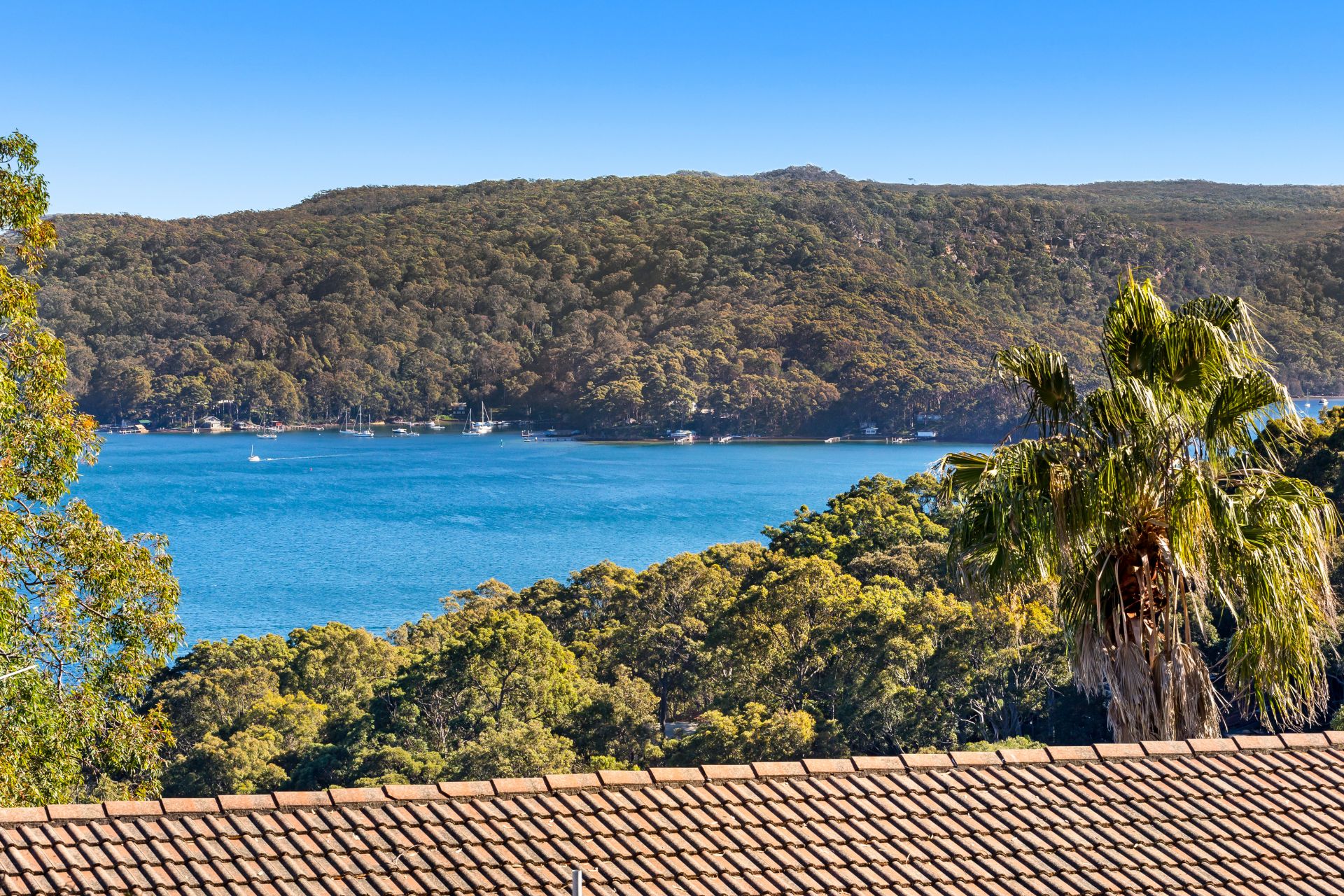 353 Lower Plateau Road Bilgola Plateau NSW 2107, Bilgola Plateau - Thumbnail 5