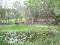 Smiths Road TINBEERWAH QLD, Tinbeerwah - Thumbnail 6