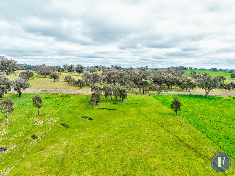 1/1059 Frogmore Road, Frogmore NSW, Frogmore - Thumbnail 6