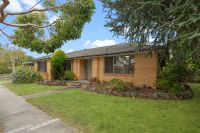 49 Lucerne Crescent, Frankston VIC, Frankston - Image 1