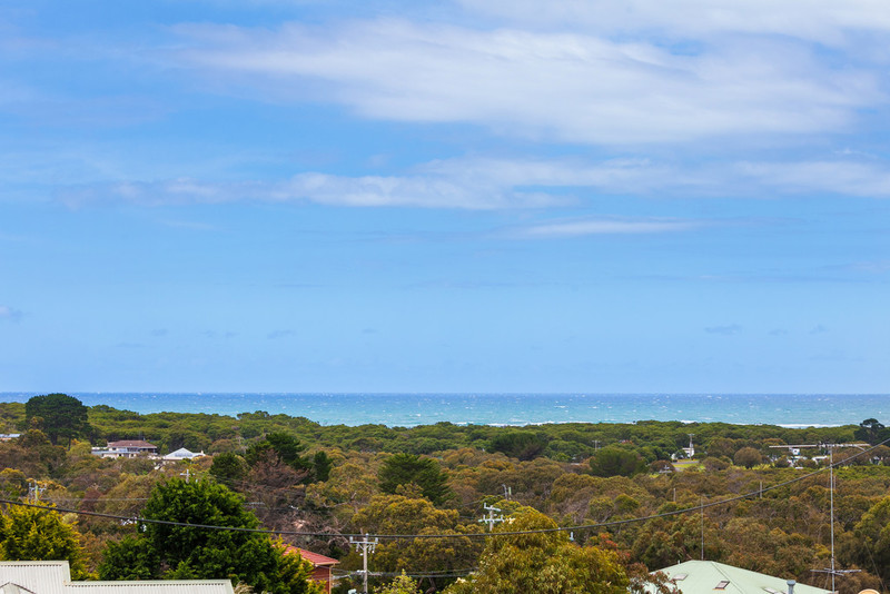 12 Wray Street, Anglesea, VIC, Anglesea - Thumbnail 4