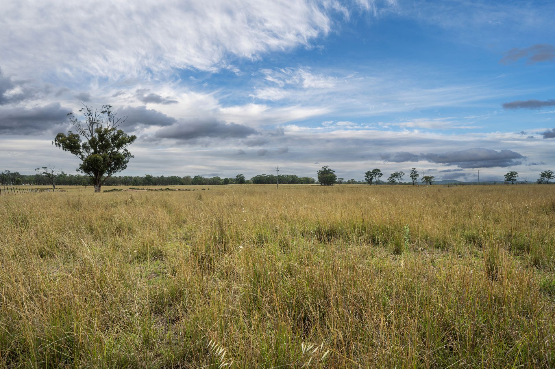 63 Wyoming Lane, Gulgong The Property Shop