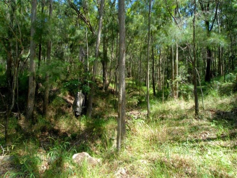 1 Francis Road BLI BLI QLD, Bli Bli - Thumbnail 8