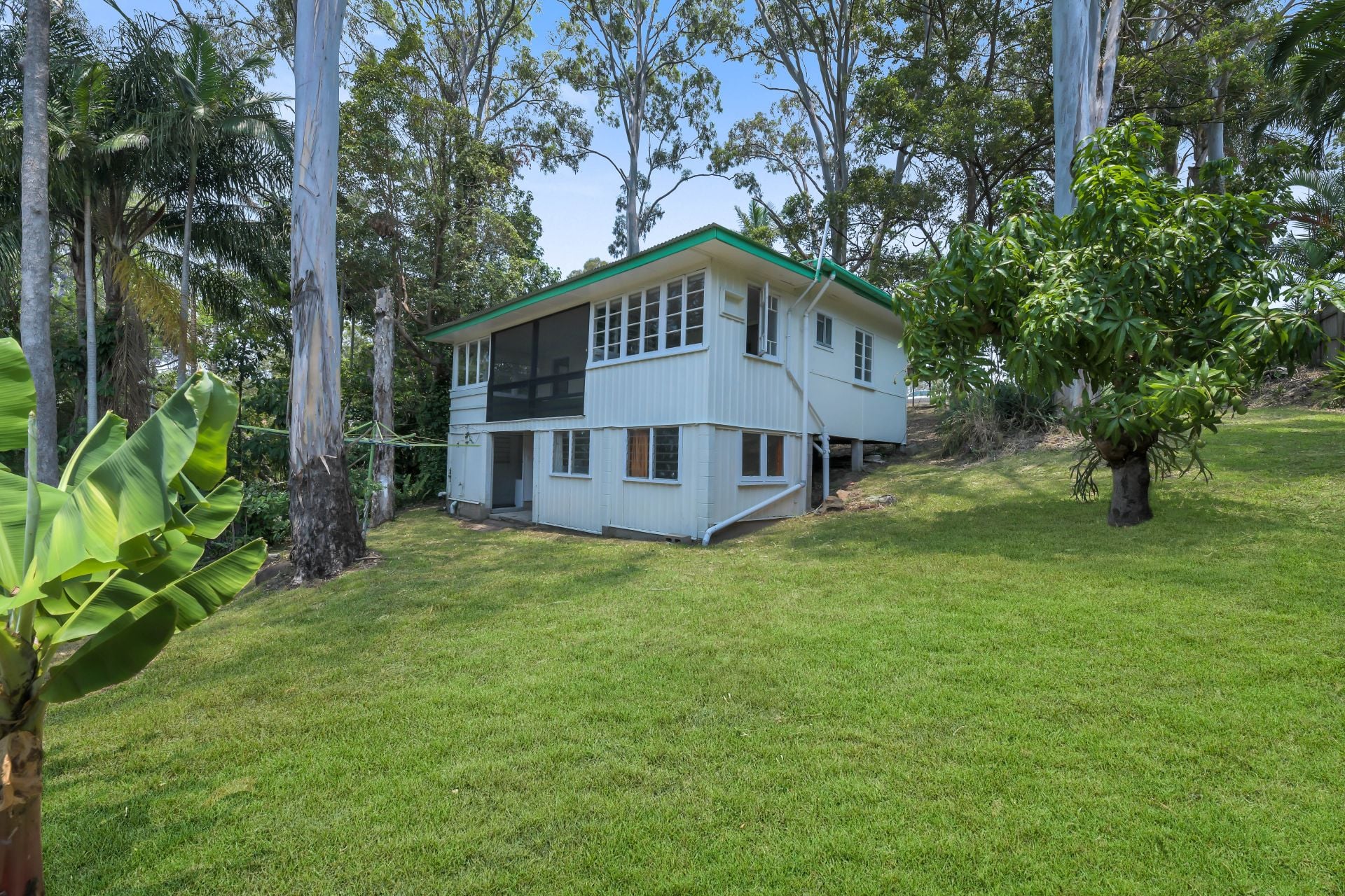 307 Mooloolaba Road Buderim QLD, Buderim - Thumbnail 2