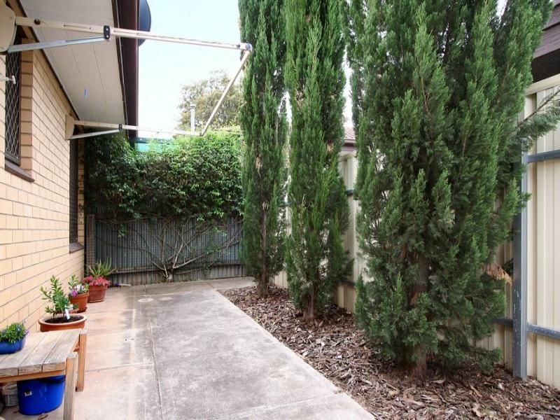 1/49 CARDIGAN AVENUE Felixstow 5070