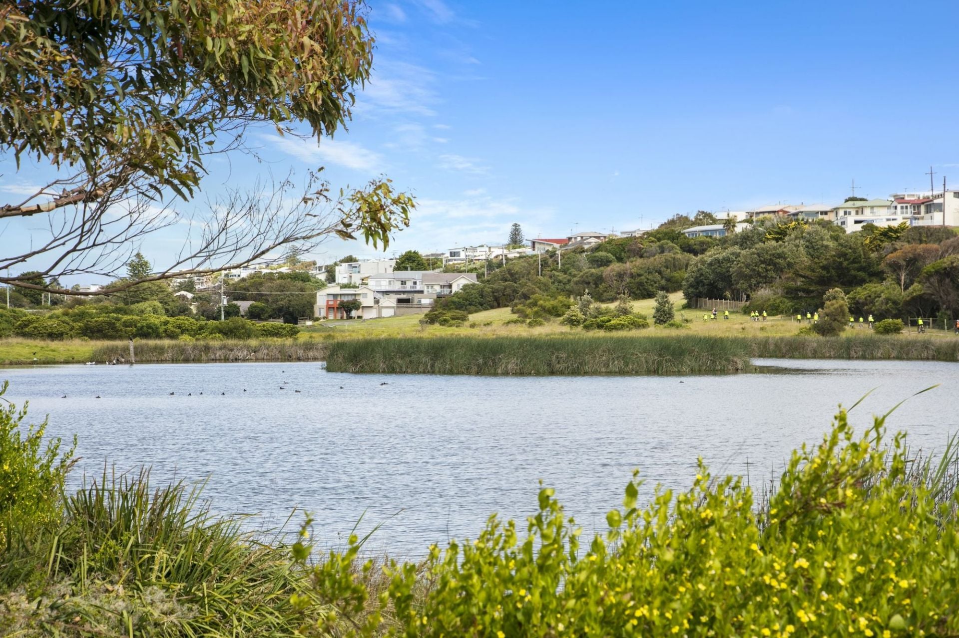 37 Roditis Drive Ocean Grove VIC, Ocean Grove - Thumbnail 5
