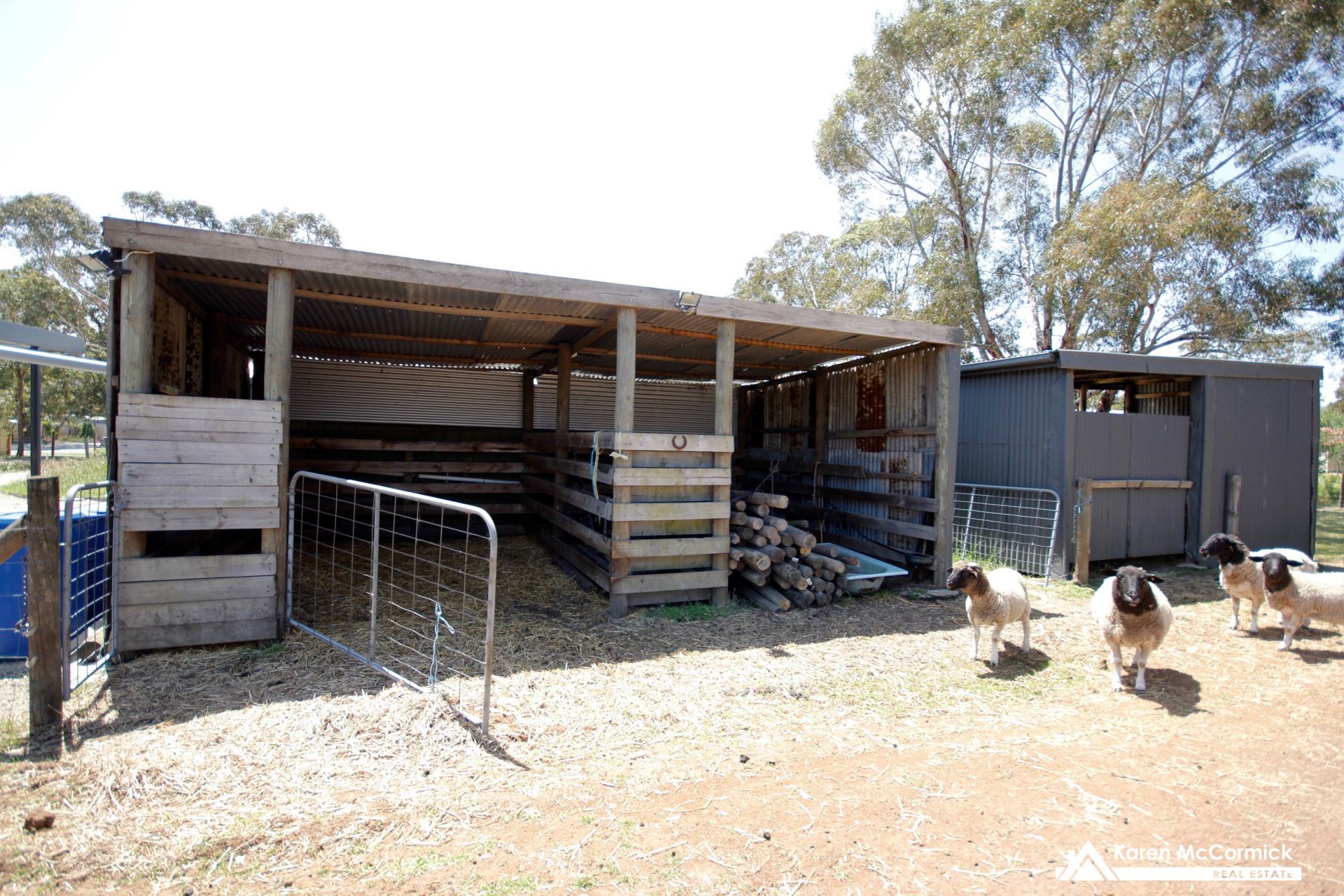10 Collett Street, Longwarry Karen McCormick Real Estate