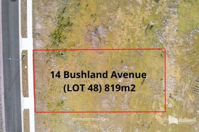 14 Bushland Avenue, Hawley Beach, Hawley Beach - Thumbnail 4