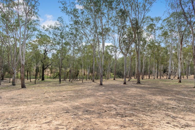 Real Estate For Sale 193 Hanwood Road Branxton , NSW