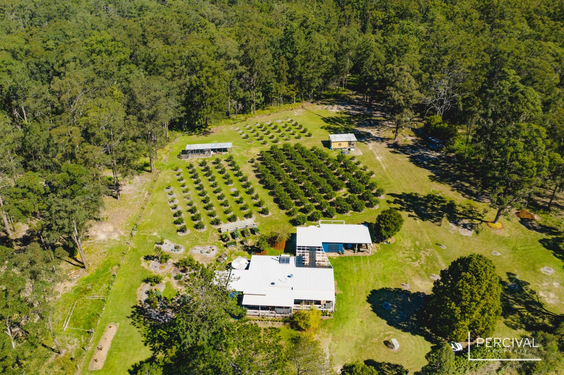 123 Blackbutt Road Herons Creek NSW, Herons Creek - Thumbnail 2