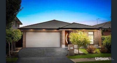 Colebee 19 Woodburn Street