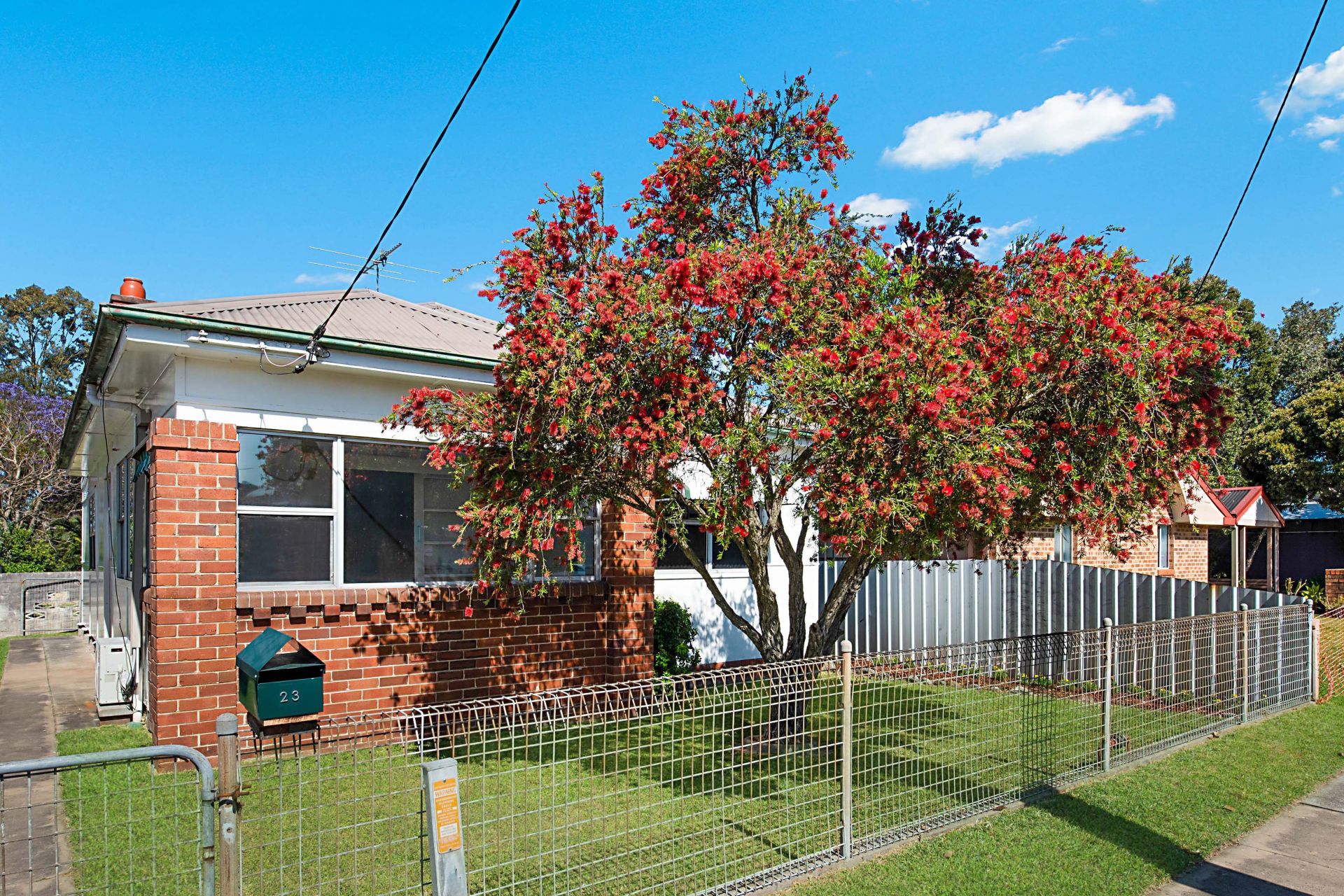 23 Tighe Street Waratah NSW, Waratah - Thumbnail 4