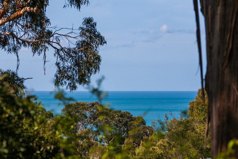 5 Clovelly Court, Lorne, VIC, Lorne - Thumbnail 2
