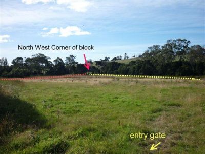 163A Winspears Road, EAST DEVONPORT, East Devonport - Thumbnail 2