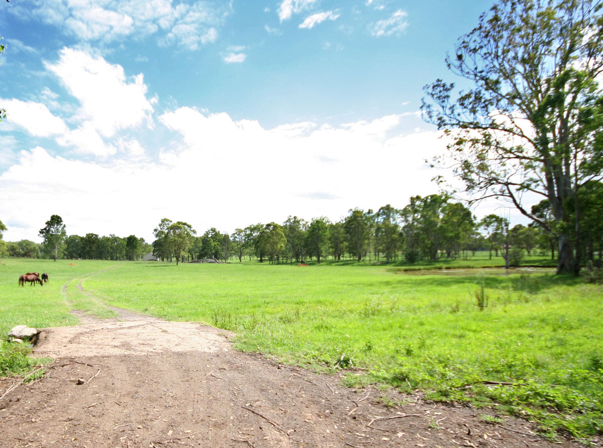 152 King Road, Wilberforce - Thumbnail 3