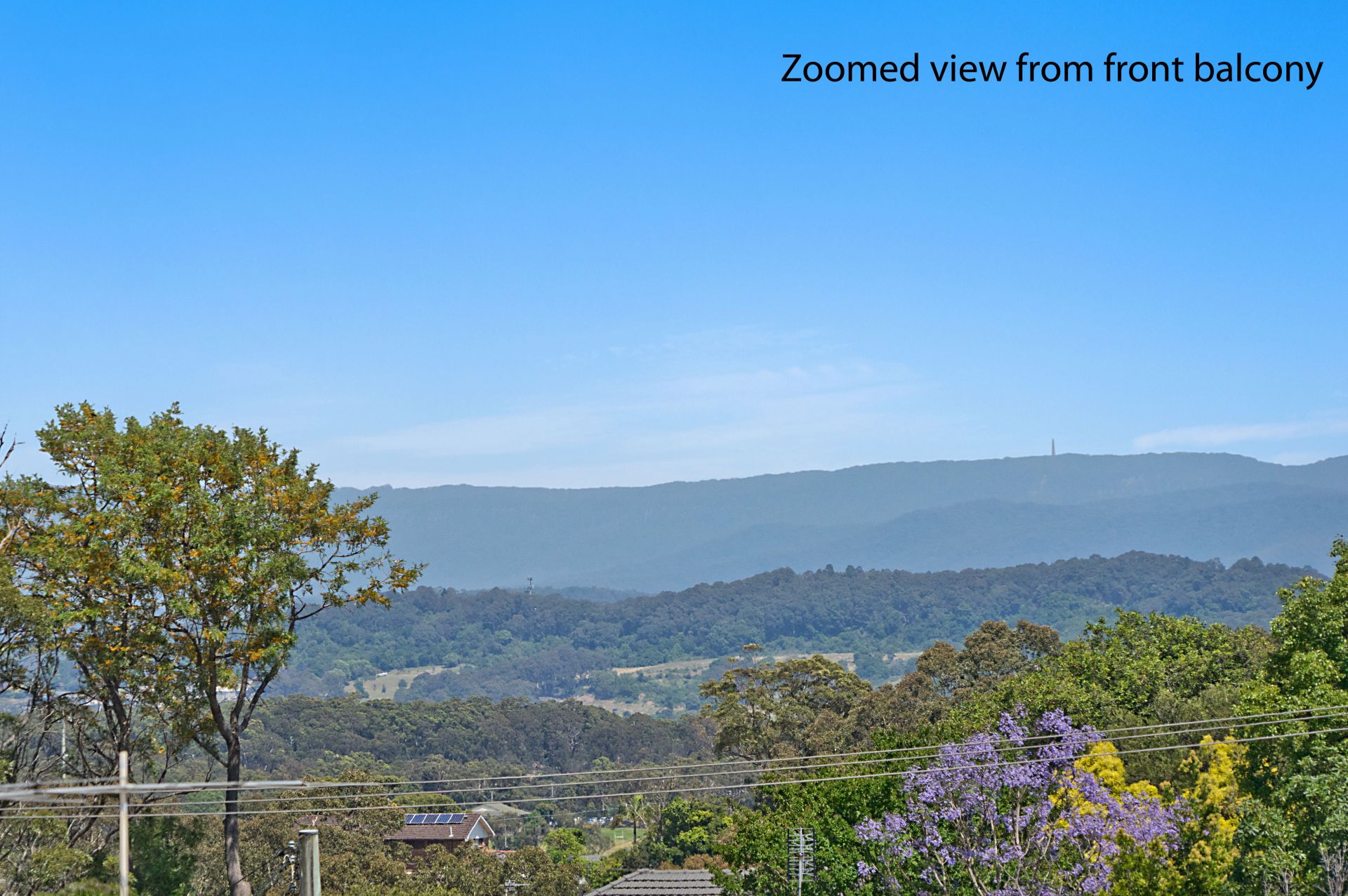 10 Buller Street Charlestown NSW, Charlestown - Thumbnail 3