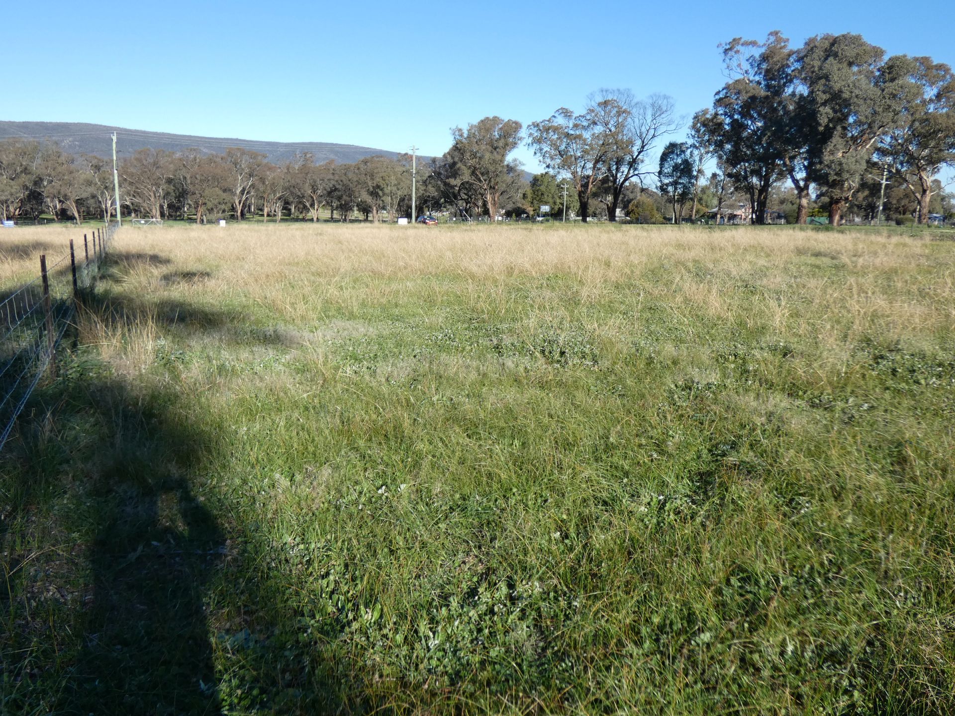 2 Cherry Tree Close, Bendick Murrell NSW, Bendick Murrell - Thumbnail 6