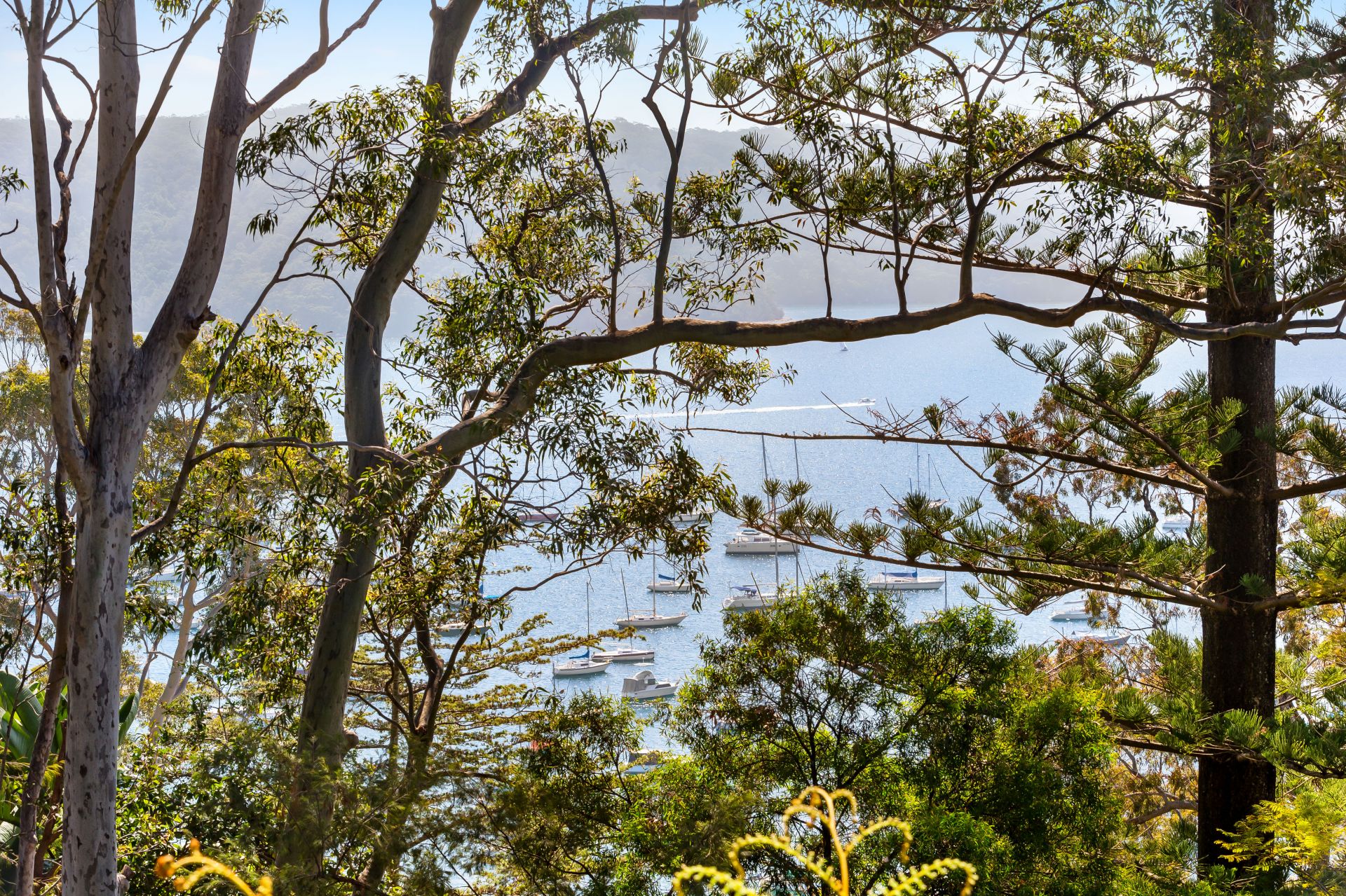 54 Wandeen Road Avalon Beach NSW, Avalon Beach - Thumbnail 7