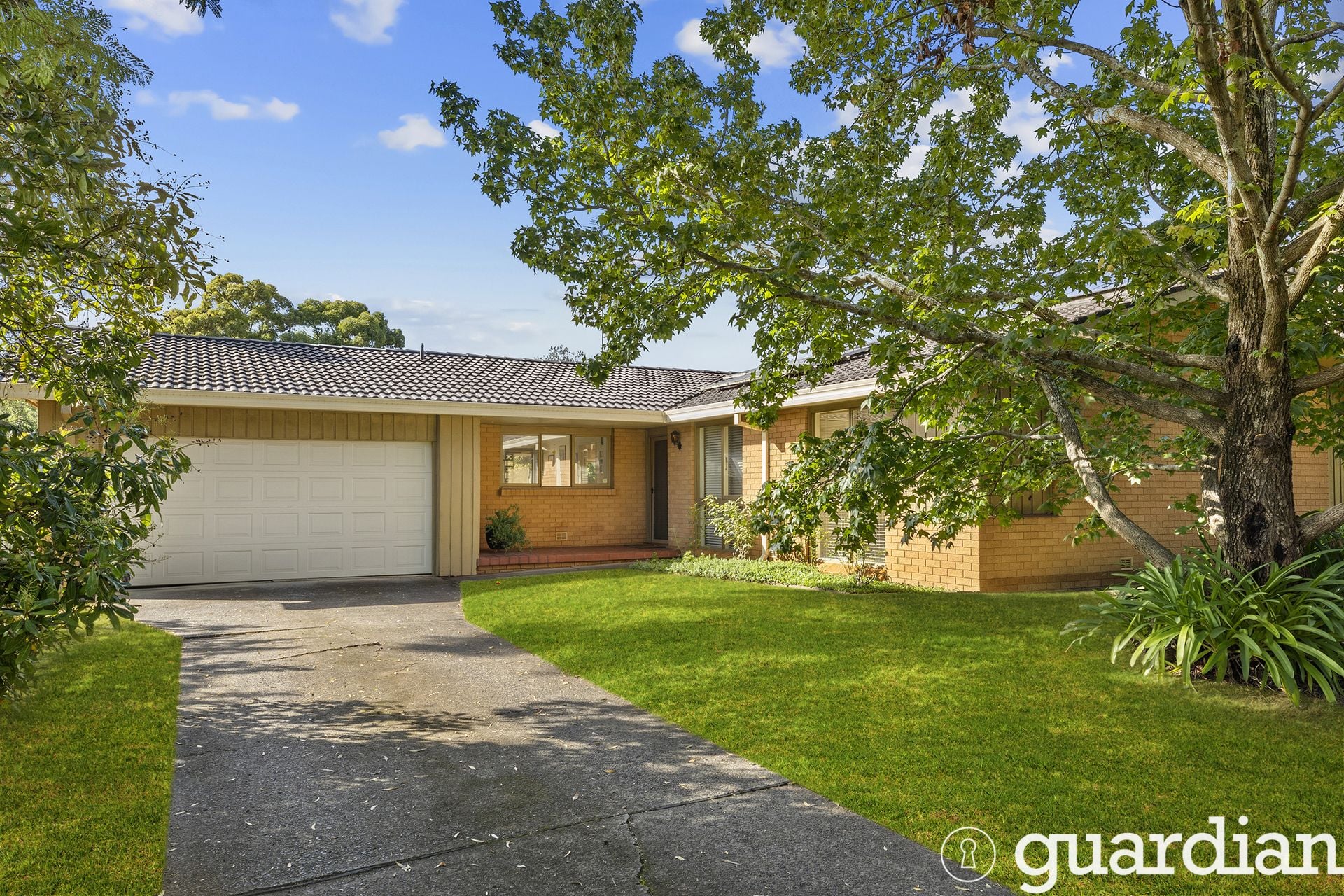36 White Cedar Drive Castle Hill NSW, Castle Hill - Thumbnail 2