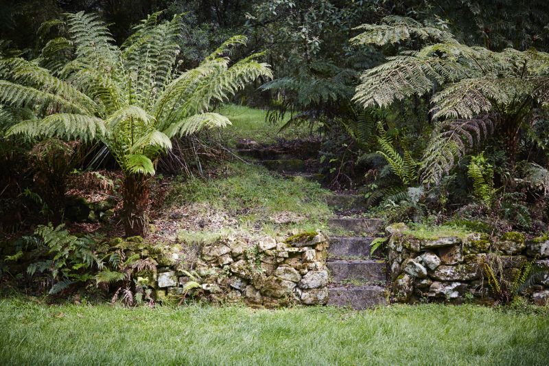 955 Benwerrin - Mount Sabine Road, Lorne, VIC, Lorne - Thumbnail 6