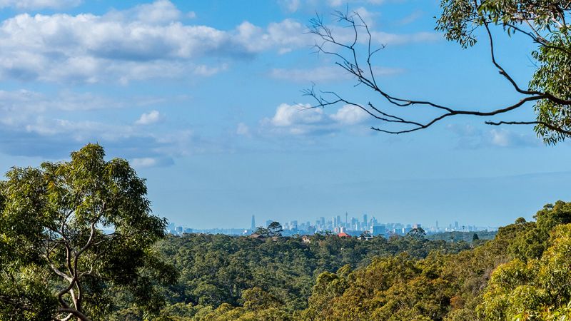 23 Lalor Crescent, Engadine NSW, Engadine - Thumbnail 6