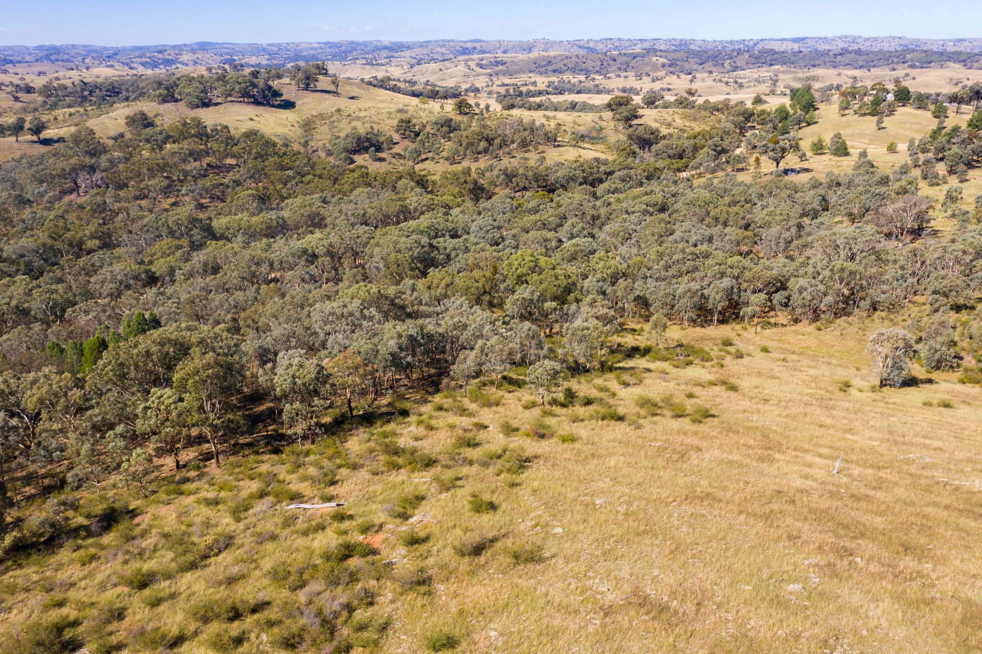 4 Old Wheeo Road, Taylors Flat NSW, Taylors Flat - Thumbnail 5