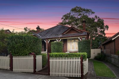 196 ALT STREET, HABERFIELD, NSW, 2045