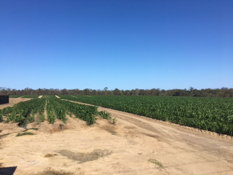 Lot 57 Gordons Road, ALLOWAY Four Walls Realty