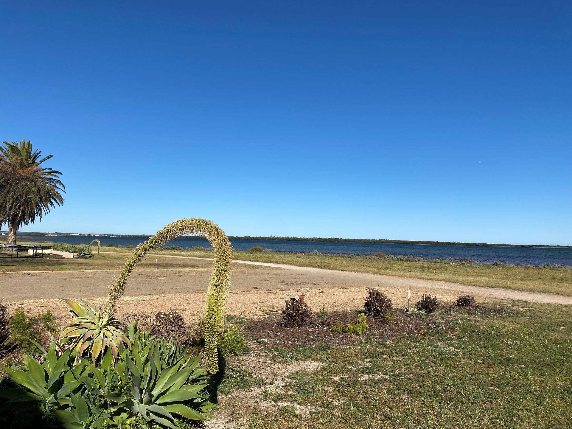 145 John Lewis Drive Port Broughton SA, Port Broughton - Thumbnail 6