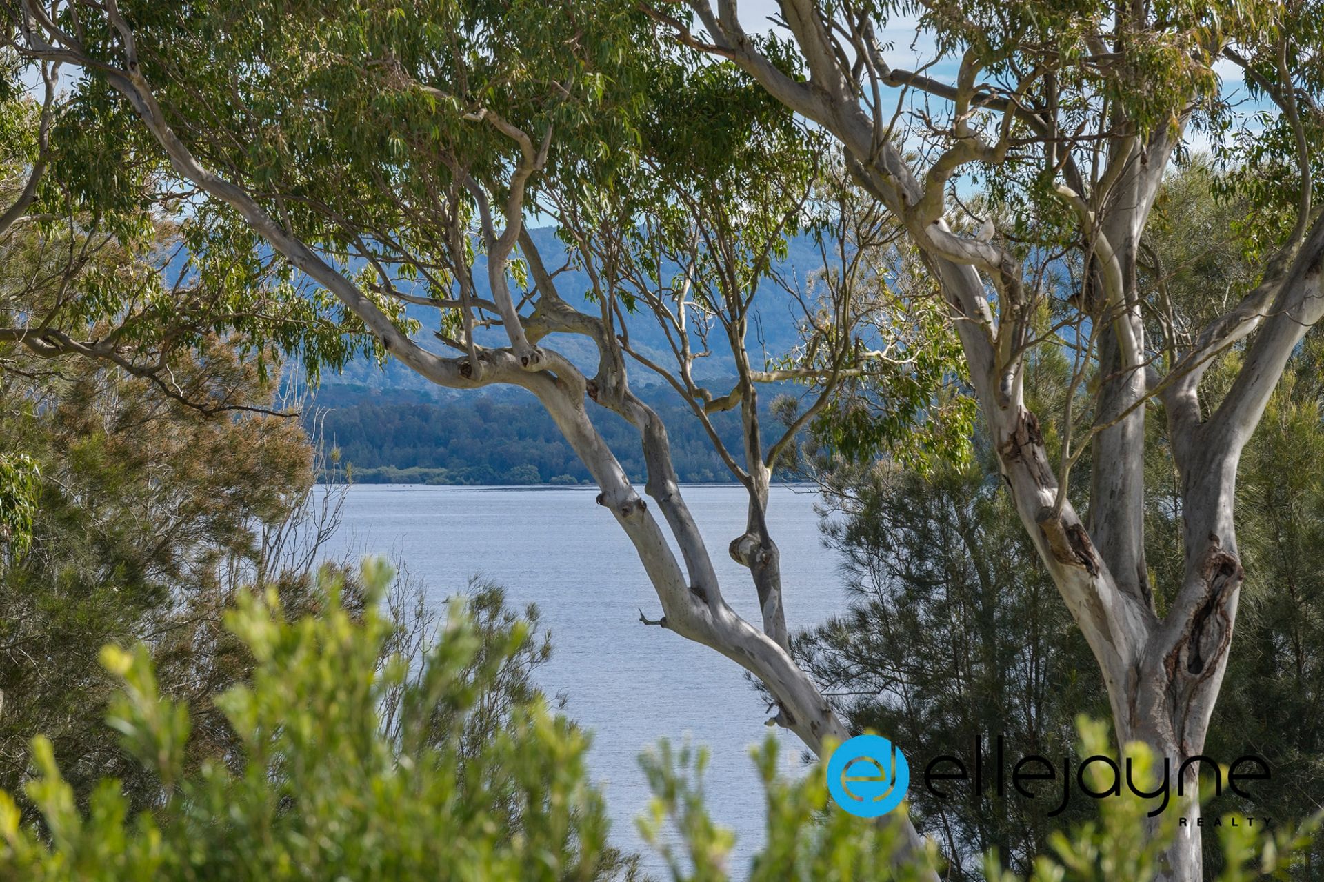 33 Mather Drive, Bonnells Bay Ellejayne Realty Pty Ltd