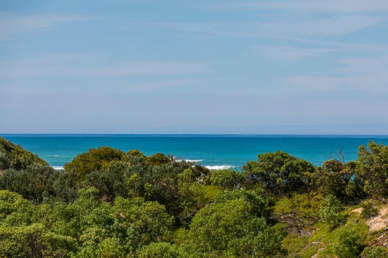 24 Bon Air Avenue, Anglesea - Thumbnail 3