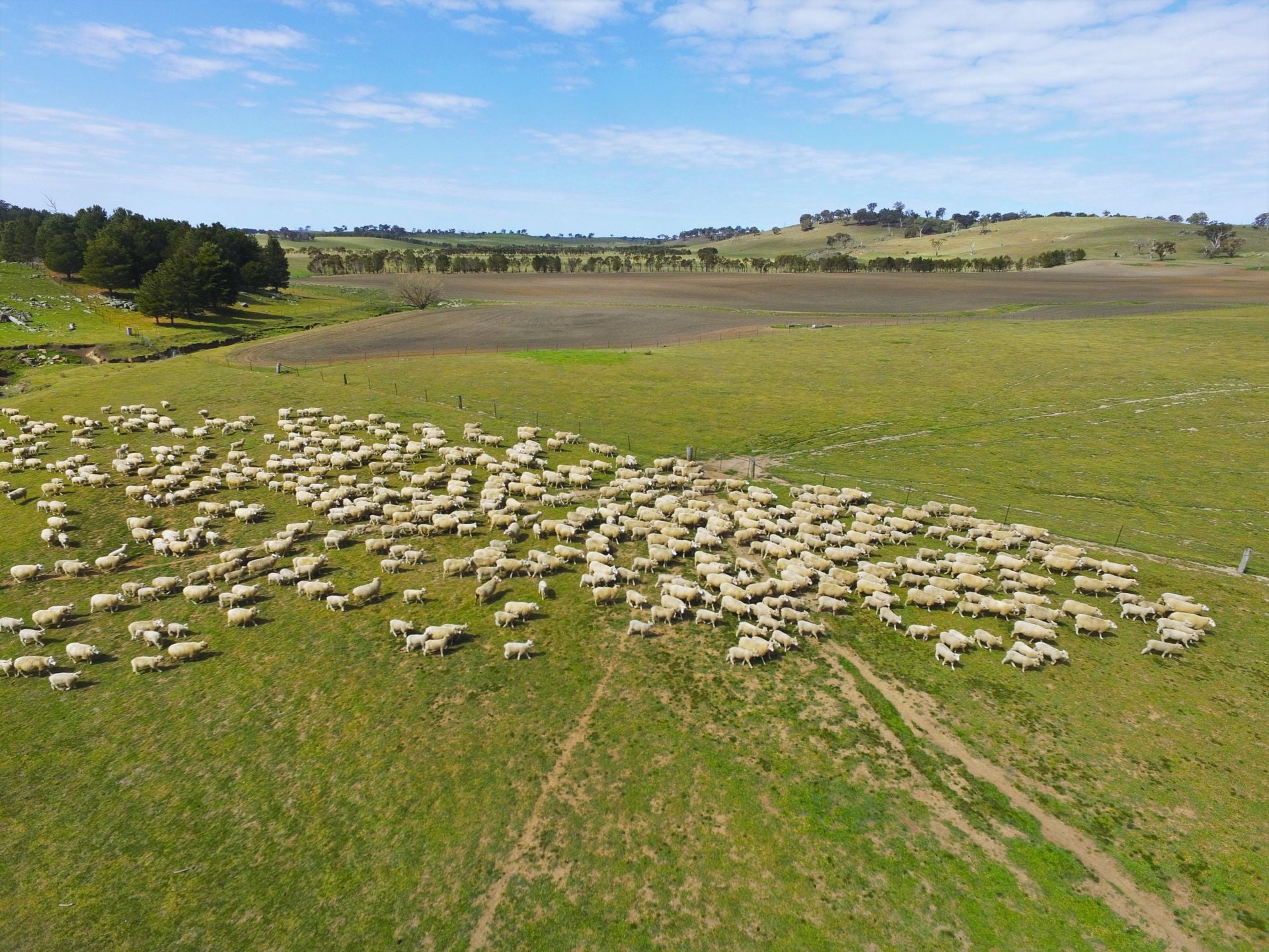 244 Lachlan Road, Bathurst, Bathurst - Thumbnail 7