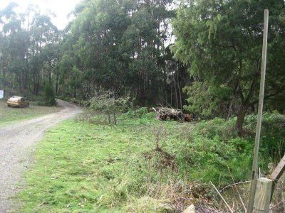 140 Stony Rise Road, DEVONPORT, Devonport - Thumbnail 5