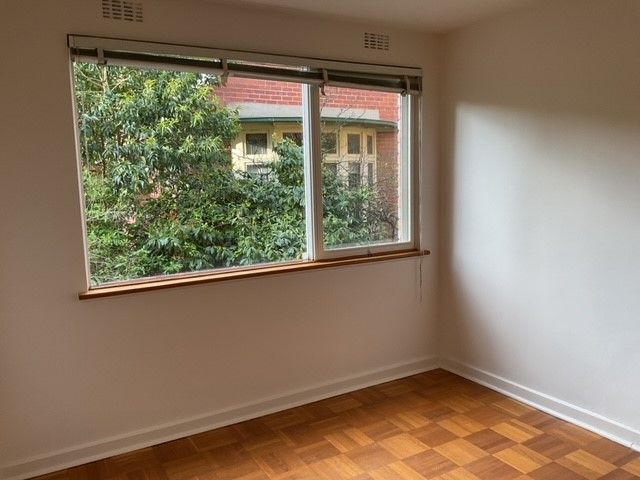 **Spacious and Sunny**