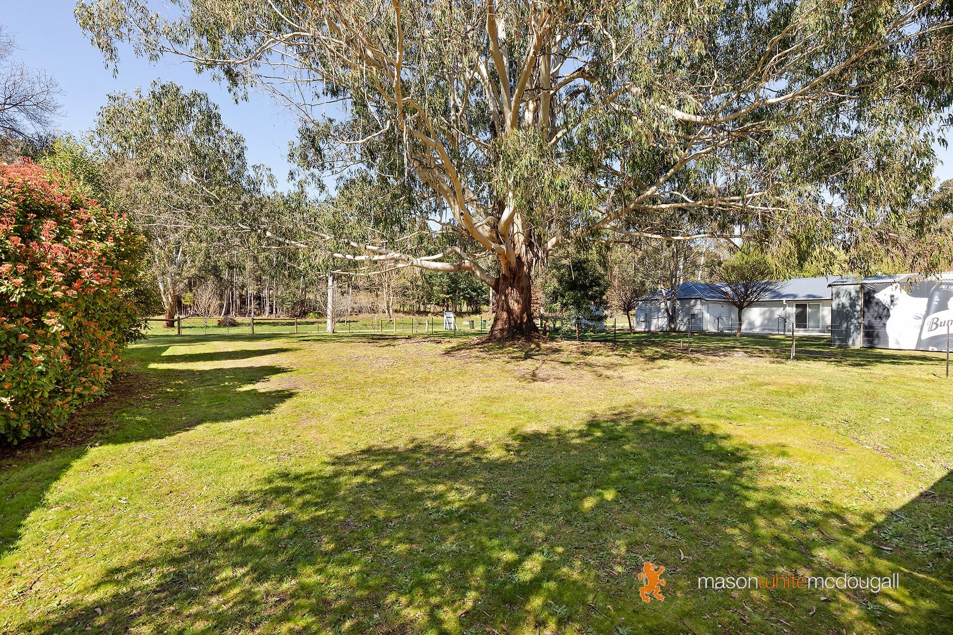 2623 Whittlesea-Yea Road Flowerdale VIC, Flowerdale - Thumbnail 5
