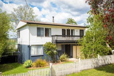 Family Favourite on Large Allotment