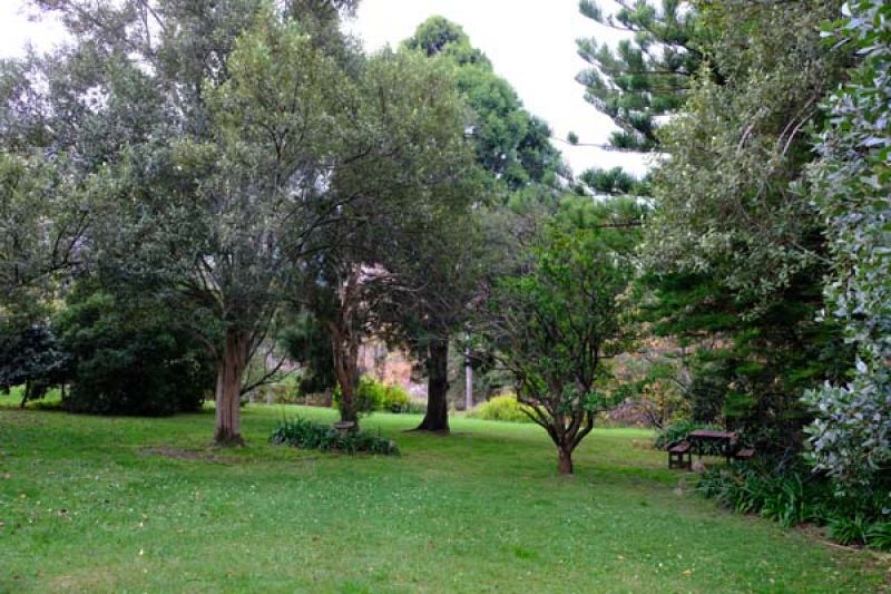 9 Temple Road, Belgrave South OBrien Real Estate