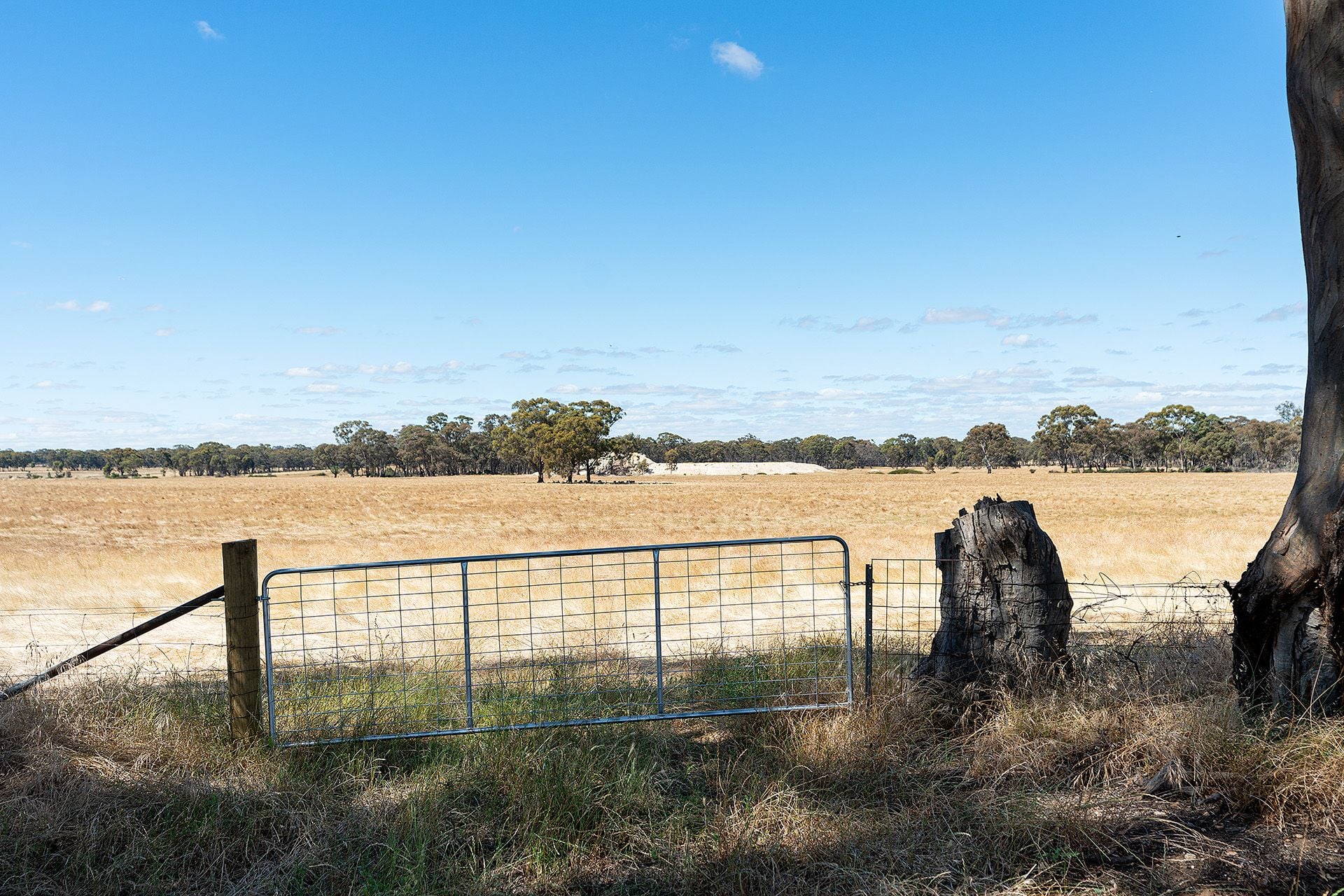 20 Ross Drive, Castlemaine - Thumbnail 3