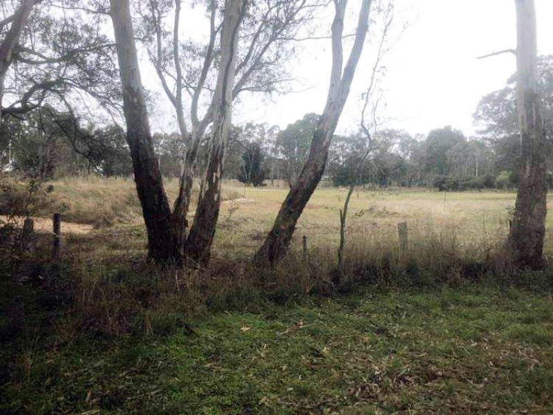 CA5/ Sunraysia Highway, Lexton, Lexton, Lexton - Thumbnail 8