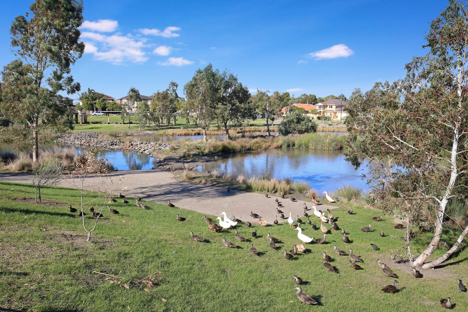 OPPOSITE THE PARK, OVERLOOKING THE LAKE
