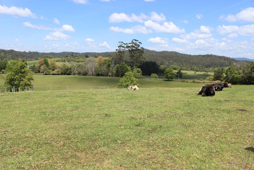 990 Stewarts River Road, LORNE NSW 2439