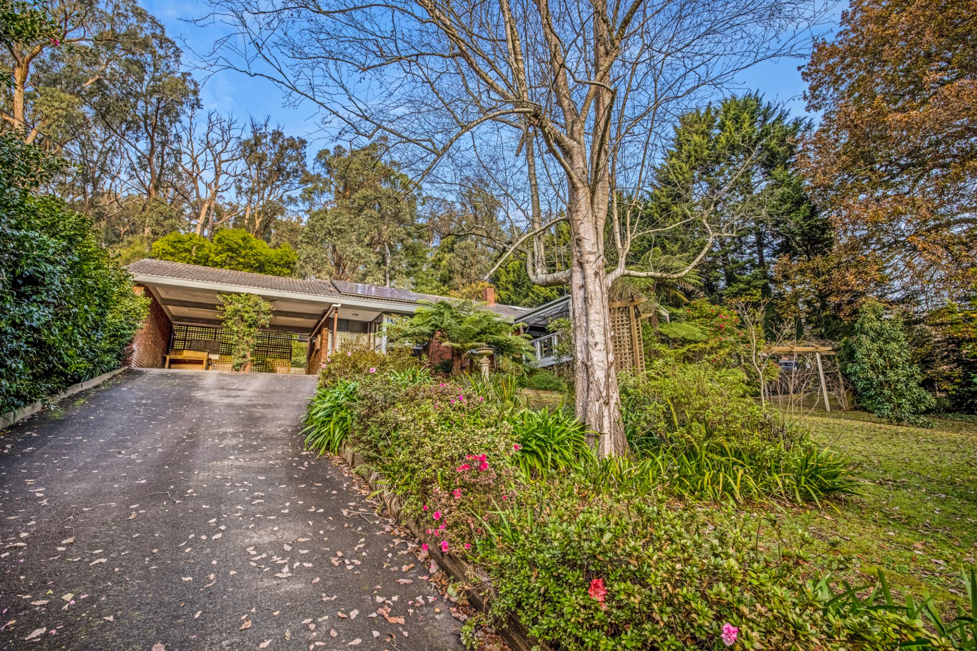 60 Lakeside Drive, Emerald - Thumbnail 4