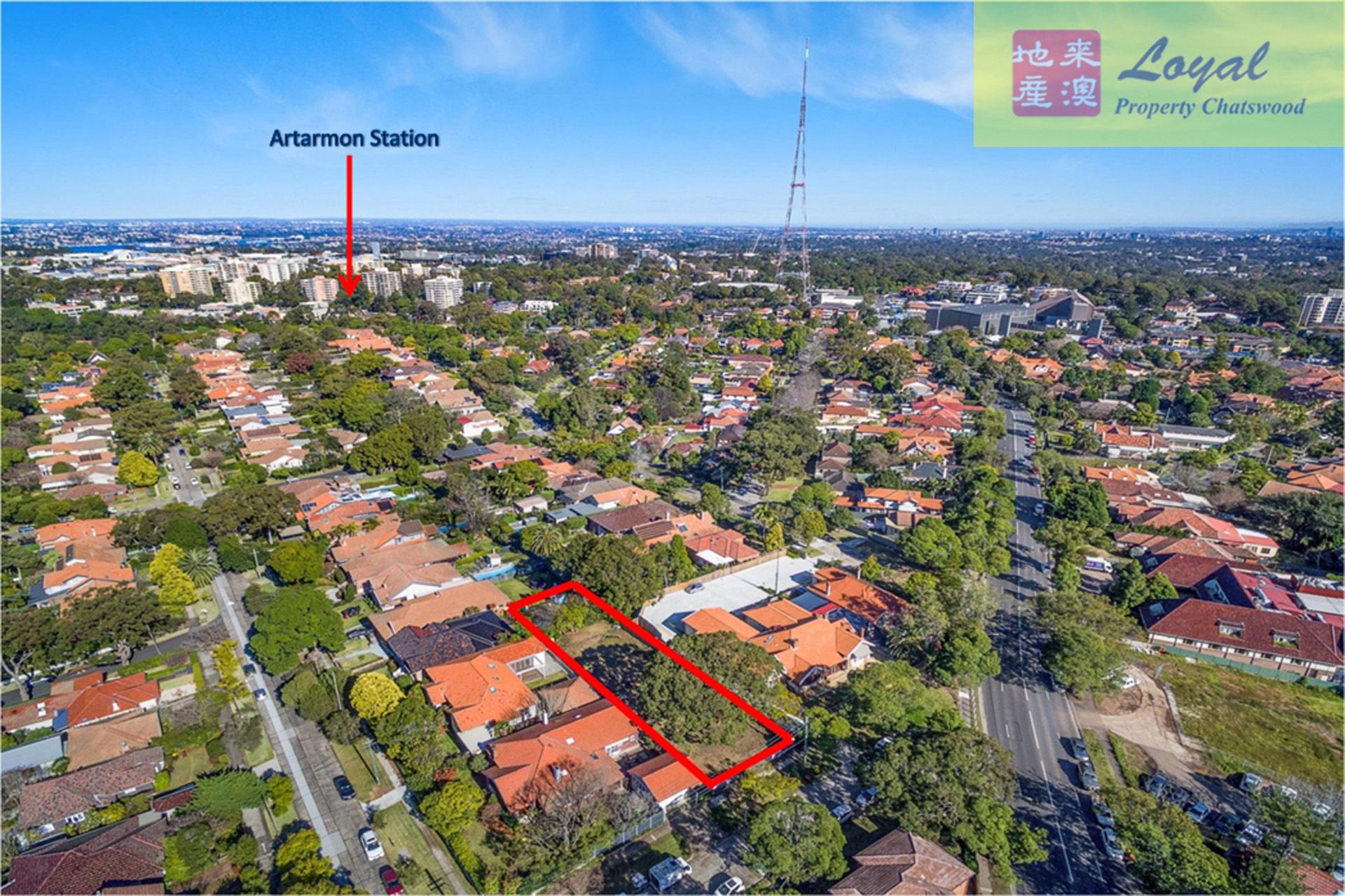 64 Stafford Road Artarmon NSW, Artarmon - Thumbnail 4