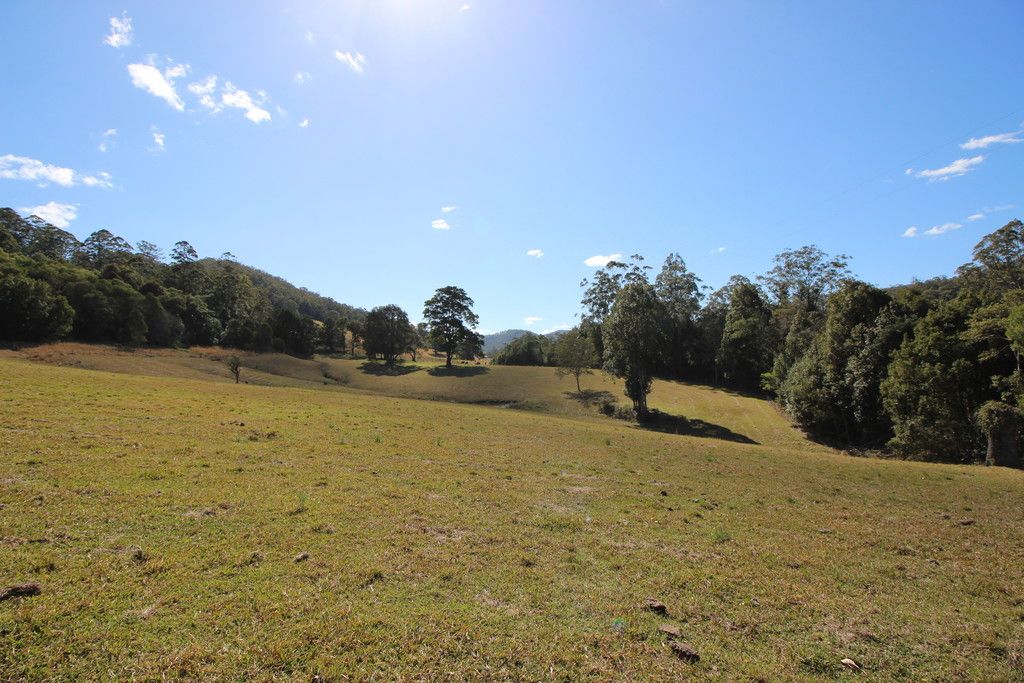 2595 Pappinbarra Rd, PAPPINBARRA NSW 2446